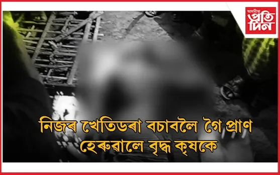 মৰনৈত হাতীৰ আক্ৰমণত প্ৰাণ গ'ল বৃদ্ধ কৃষকৰ